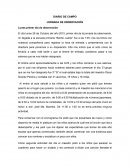 Diario de campo