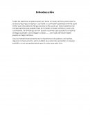 El costo de perder un equipo