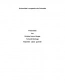 Hecho tipicidad antijuricidad y culpabilidad