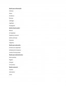 Diseño de la informacion