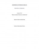 Ensayo M1 E4 “Mapa conceptual enfoque por competencias”
