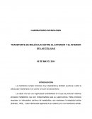 TRANSPORTE DE MOLÉCULAS ENTRE EL EXTERIOR Y EL INTERIOR DE LAS CÉLULAS