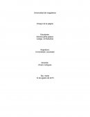 Historia de la universidad