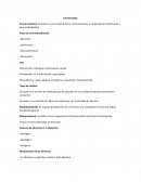 Farmacología Farmacocinética: Estudia el curso temporal de las concentraciones y cantidades de los fármacos y de sus Metabolitos