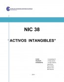 Recomendar el tratamiento contable para estos activos que no se encuentren contemplados en otras normas.