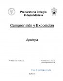 Apologia sobre el uso de las TIC's