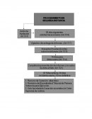 TRABAJO PROCEDIMIENTO PROBATORIO