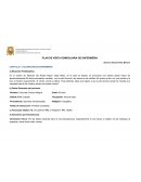 Plan funcional adulto mayor