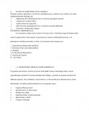 Tecnica quirurgica cesarea