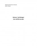 En este informe daremos a conocer nuestra experiencia en la práctica del microscopio, observando sus partes y las funciones de cada uno de ellas.