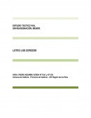 ESTUDIO DE TRANSITO LOTEO LOS CEREZOS