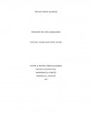 POLITICAS PÚBLICAS SALUDABLES