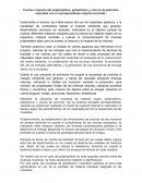 Reciclaje de plastico