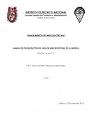 MANUAL DE ORGANIZACIÓN DEL AREA DE MERCADOTECNIA DE LA EMPRESA