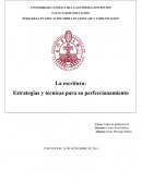 PEDAGOGÍA EN EDUCACIÓN MEDIA EN LENGUAJE Y COMUNICACIÓN