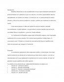 Ensayo sobre libertad de empresa y medio ambiente