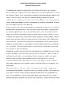 Freud Resumen