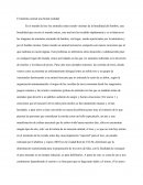 El maltrato animal una brutal realidad