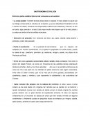 Gastronomia de falcon