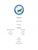 El Matrimonio Trabajo de Exposición