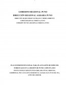 PLAN DE PLANTACIÓN DE ESPECIES FORESTALES EN LA REGIÓN DE PUNO CAMPAÑA 2014