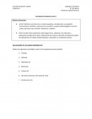 Pauta diario informativo