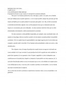 Una definicion preliminar