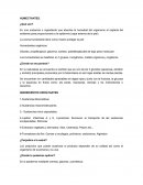 La niñez en el siglo XXI