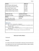 Efectos del TLCAN en México