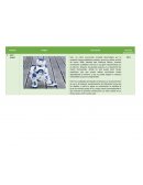Distintos tipos de Robots