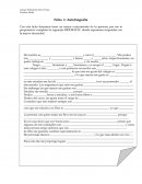 Cambios de la adolescencia