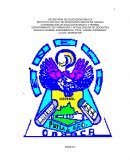 EL JUEGO COMO ESTRATEGIA PARA FAVORECER LOS PRINCIPIOS DEL CONTEO