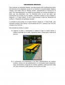 Ejecucion del proyecto