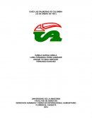 CASO LAS PALMERAS VS COLOMBIA