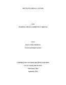 MENTES PELIGROSAS: ANÁLISIS