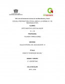 Diversidad sexual.La diversidad sexual consta de varias formas,