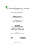 Administra Sistemas Operativos, de aplicaciones y servicios