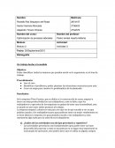 Optimización de procesos laborales: Estudio de ergonomía en Titan Factory