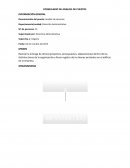 Descripcion de puestos