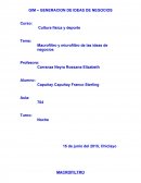 Macrofiltro y microfiltro de las ideas de negocios