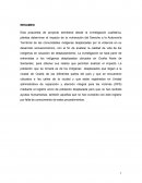 Proyecto d investigación indigenas