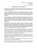 El niño en el vientre materno