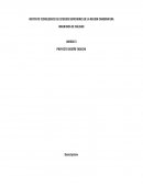 PROYECTO DISEÑO TAGUCHI