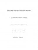 ENSAYO SOBRE TEORIA PURA DEL DERECHO DE HANS KELSEN