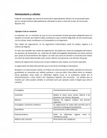 Ejemplo de un Protocolo de investigacion. Página 1