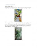 Recoleccion y analisis de puebra