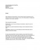 Ensayo fuentes y bibliografia