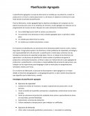 Planificación Agregada