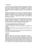 Ejemplo de tesinay su desarrollo