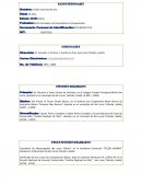 Curriculum vitae